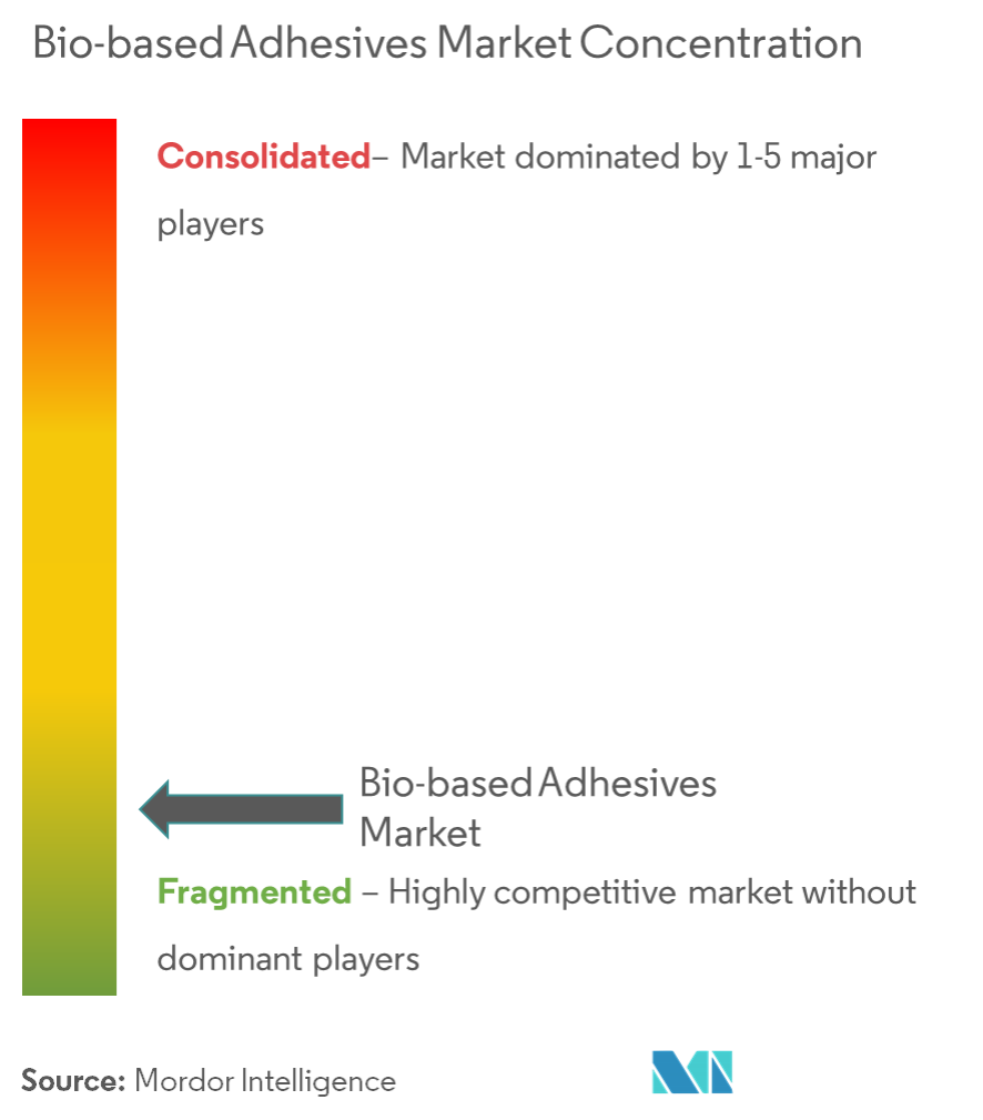 Bio-based Adhesives Market Concentration